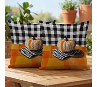 Lot de 2 Housse de Coussin 60x60 Extérieur Imperméable, Orange Citrouille Taie d'oreiller Décorative avec Fermeture Éclair Invisible, Impression double face pour Jardin Balcon Salon Canapé, #307l