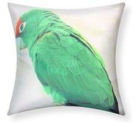 Lot de 2 Housses de Coussin 40x40 cm Motif Ara Vert Avizar Blanc / Vert Blanc / Vert G