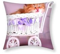 Lot de 2 Housses de Coussin 40x40 cm Motif Chaton Panier Avizar Multicolore Multicolore G