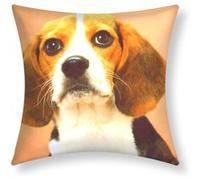 Lot de 2 Housses de Coussin 40x40 cm Motif Chien Beagle Avizar Marron Marron G