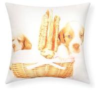 Lot de 2 Housses de Coussin 40x40 cm Motif Chiots Avizar Multicolore Multicolore G