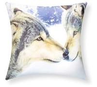 Lot de 2 Housses de Coussin 40x40 cm Motif Loups Avizar Multicolore Multicolore G
