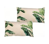 Lot de 2 Housses de Coussin 50 x 80 cm, Taie Oreiller bleu nuage, Velours Housse Coussin Rectangle, Fermeture à glissière Invisible, Design Moderne, Taie d'oreiller pour Patio Jardin Salon S0-647