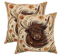 Lot de 2 housses de coussin décoratives rustiques et fantaisistes en velours doux lavable pour maison, salon, chambre à coucher, dortoir, canapé, 40,6 x 40,6 cm, marron