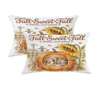 Lot de 2 housses de coussin douces avec fermeture éclair pour canapé, salon, porche - Motif berger australien d'automne - 30,5 x 50,8 cm