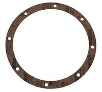 Lot de 2 joints de bride de bonde de fond SP1048/SP1049 de piscine - SPX1048DPAK2 - Hayward beige G
