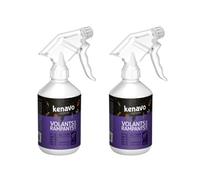 Lot de 2 Laques choc insecticide spécial cafards - Spray prêt à l'Emploi - Protection longue durée - 500 ml - KENAVO (2)