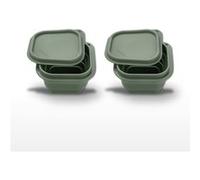 Lot de 2 lunch box 1L avec 2 ustensiles de cuisine Fackelmann Storage Vert