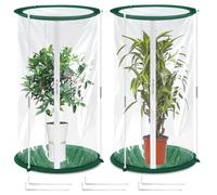 Lot de 2 mini serres 50 x 30 cm - Tente d'hivernage pour plantes - Petite serre pour légumes, fleurs et champignons - En film transparent - Petite serre pop-up