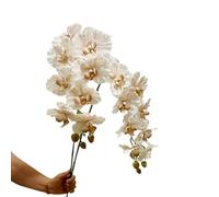 Lot de 2 orchidées artificielles à tige longue pour vase, 9 fleurs chacune, marron