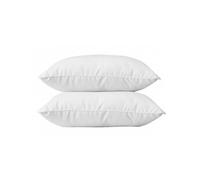 Lot de 2 oreillers 45 x 70 cm Blanrêve Gamme Microfibre Douceur traité Anti Acarien