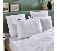 Lot De 2 Oreillers Fermes Et Respirants Blanc 50X70