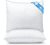 Lot de 2 Oreillers 60x60 cm COZSINOOR, Fibres Polyester Creuses 7D, Taie Refroidissante Respirante, Hypoallergénique, Confort Doux