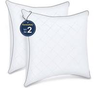 Lot de 2 Oreillers 60x60 cm Konsoefuly, 100% Fibres de Polyester Creuses 7D, Respirants, Hypoallergéniques, anti-acariens, Certifié Oeko-Tex blanc