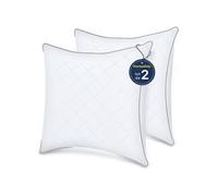 Lot de 2 Oreillers 60x60 cm Konsoefuly, Souples, Garnissage Polyester Haute Résilience, Respirant, Anti-acariens, Confort Optimal Toute l'Année