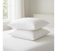 Lot de 2 oreillers blancs à bouillir - Moelleux 45x70 - 39911