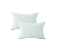 Lot de 2 oreillers, coussins de garnissage - 30 x 50 cm - Blanc - Vivezen