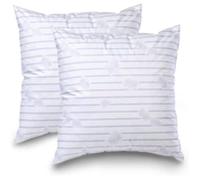 Lot de 2 Oreillers d'Antan - Naturels - Plume - 60 x 60 cm - Blanc/Rayé/Bleu