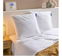 BLEU CALIN Lot de 2 Oreillers Coton Bio - Confort Ferme - Enveloppe 100% Coton Issu de l'agriculture Biologique certifié GOTS - 60x60cm
