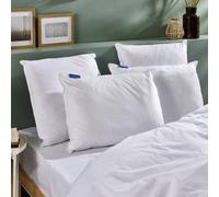 Lot De 2 Oreillers Fermes Et Respirants Blanc 60X60