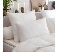 Lot de 2 oreillers Maxiconfort Thermolite ultra ""DODO"" - 50x70