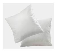 Lot de 2 oreillers microfibre 60x60 cm