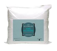 Lot de 2 Oreillers Microfibre - BLANREVE - Anti-Acariens - 60 x 60 cm - Blanc