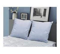 Lot de 2 oreillers DODO naturels fermes plumettes - 60x60 cm - MERIBEL