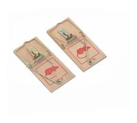 Lot De 2 Piege A Souris, Souriciere Avec Bascule Bois Tapette