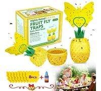 Lot de 2 pièges à mouches à fruits pour l'intérieur, attrape-moucherons efficaces avec autocollant, piège à moucherons pour la maison et l'intérieur avec appât, non toxique, réutilisable, facile à