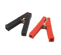 Lot de 2 pinces crocodiles en cuivre 100 A robustes