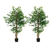 Lot de 2 plantes artificielles arbres ficus H.1,50 m tronc branches liane lichen feuilles grand réalisme pot inclus G