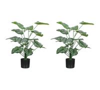 Lot de 2 plantes artificielles intérieures - HOMCOM - 65 cm - pot en plastique et flocage - vert