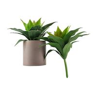 Lot de 2 plantes d'agave artificielles - 25,4 cm - Faux succulent réaliste | Tiges de verdure en plastique PE, pas d'arrosage nécessaire, idéales pour un bureau, une bibliothèque, un bureau