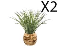 Lot de 2 Plantes Vertes artificielles avec Pot tressé en Jacinthe - Diamètre 50 x Hauteur 48,5 cm