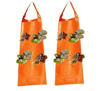 Lot de 2 pots de fleurs verticaux à suspendre conçus pour tomates, poivrons, herbes - Tissu de jardin gain de place - 62 x 25 cm (E)