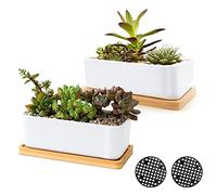 Lot de 2 pots de plantes succulentes en céramique blanche pour l'intérieur et l'extérieur, petits pots à cactus, pots à bonsaï, pots de fleurs avec trou de drainage et plateau en bambou