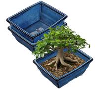 Lot de 2 pots en céramique pour bonsaï, avec trous de drainage