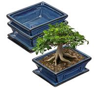 Lot de 2 pots en céramique pour bonsaï, couleur bleue, diamètre de 16 cm, forme plate, avec trou de drainage