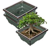 Lot de 2 pots en céramique pour bonsaï, vert clair, diamètre de 16 cm