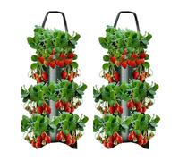 Lot de 2 sacs de culture à suspendre pour fraises | Pots de tomates suspendus à l'envers | 8 trous | Sac de culture en tissu non tissé respirant pour jardin, légumes, fleurs, fraises