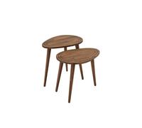 Lot de 2 tables d'appoint Théodore en bois massif - Marron