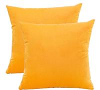 Lot de 2 Taie D'oreiller 50x50 Coton Polyester Couverture Oreiller 60x60 Taie Oreiller en Velours Côtelé 55x55 Housse Coussin Canapé Housse de Coussin 40x40 Rectangle Throw Pillow Covers(Color:H,Size: