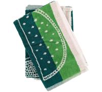 Lot de 2 torchons de cuisine éponge FRUITFUL 50x50 cm vert Menthe