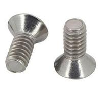 Lot de 2 vis pour couvercle de skimmer de piscine - SPX1082Z1 - Hayward Gris G