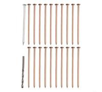 Lot de 20 clous de retrait de souches d'arbre en cuivre avec foret de 10,2 cm pour tuer les racines des souches d'arbres (20 pièces)