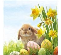 Lot de 20 serviettes de table en papier - Motif : lapin et jonquilles - 33 x 33 cm