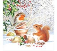 Lot de 20 serviettes en papier, motif écureuil, oiseau en hiver, animaux, hiver, Noël, Robin