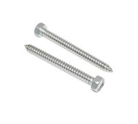 Lot de 20 vis à tôle à tête hexagonale, 8 x 38 mm, en acier inoxydable A2/V2A, DIN 7976 / ISO 1479, forme C