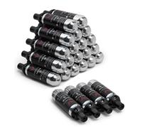 Lot de 24 Capsules de gaz argon pour Système de service au verre